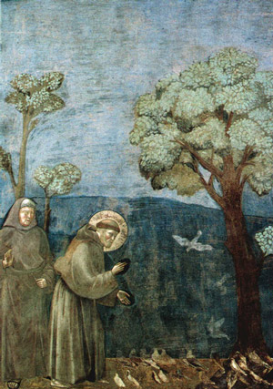 San Francesco Giotto