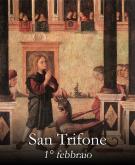 San Trifone